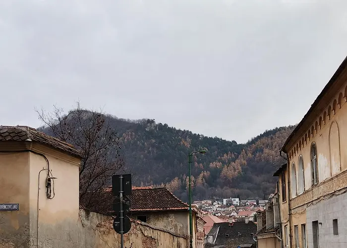 Golden Greens Studio - Mountain Scenery
